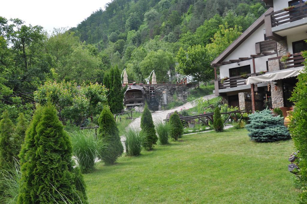 Pensiunea Valahia Брезой Екстер'єр фото
